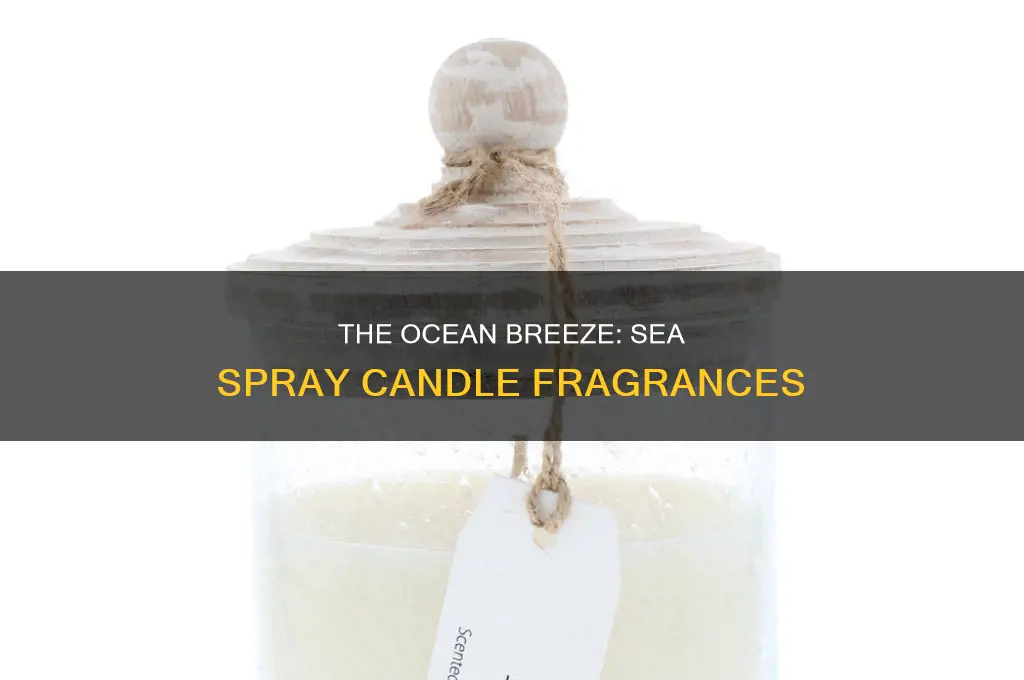 what smells like sea spray candle