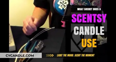 Scentsy Candle Socket Guide: Understanding the Right Plug for Your Warmer