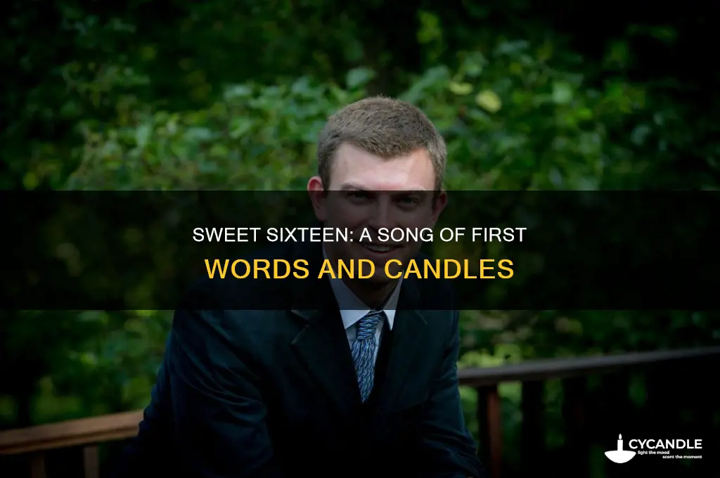what song has the first words sixteen candles