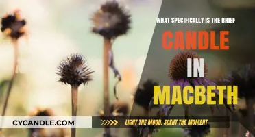 Macbeth's Brief Candle: Life's Transience
