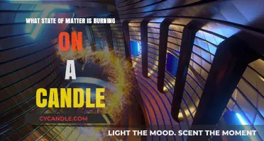 Candle Flame: Exploring the Plasma State of Matter in Burning Wax