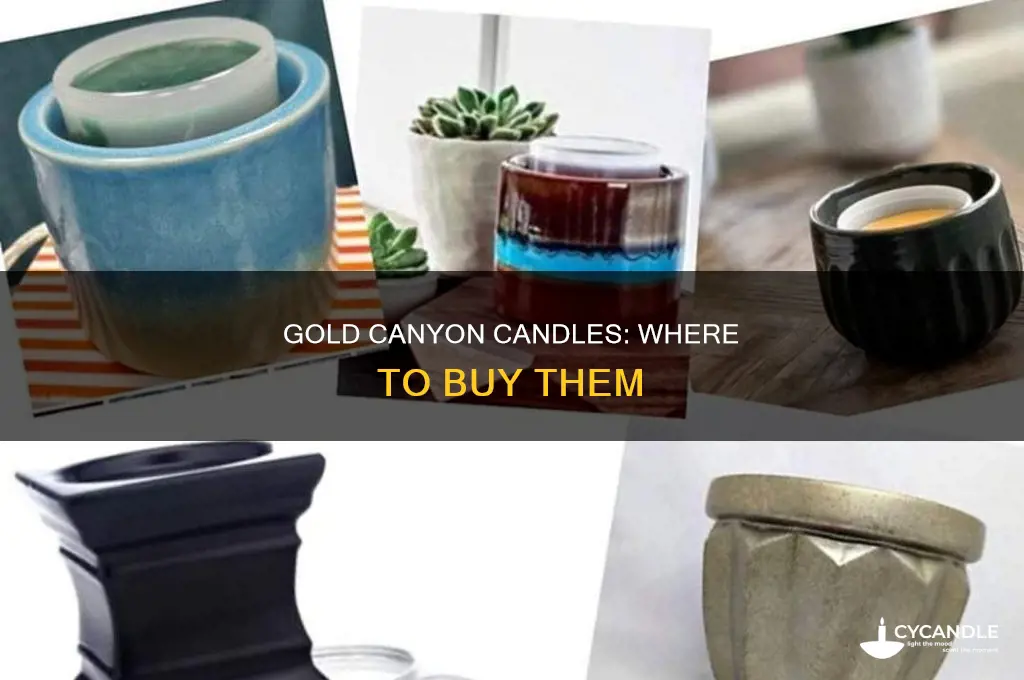 what store sells gold canyon candles