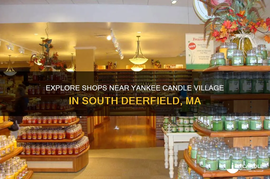 what stores are around yankee candle village ma