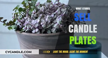 Explore Candle Plate Shopping Options