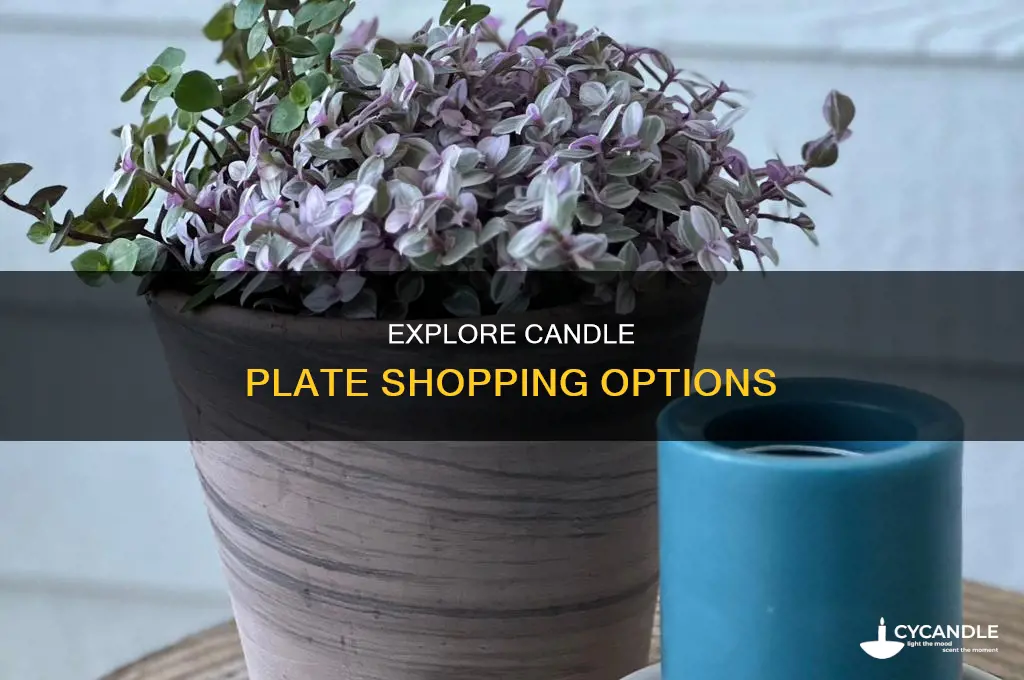 what stores sell candle plates