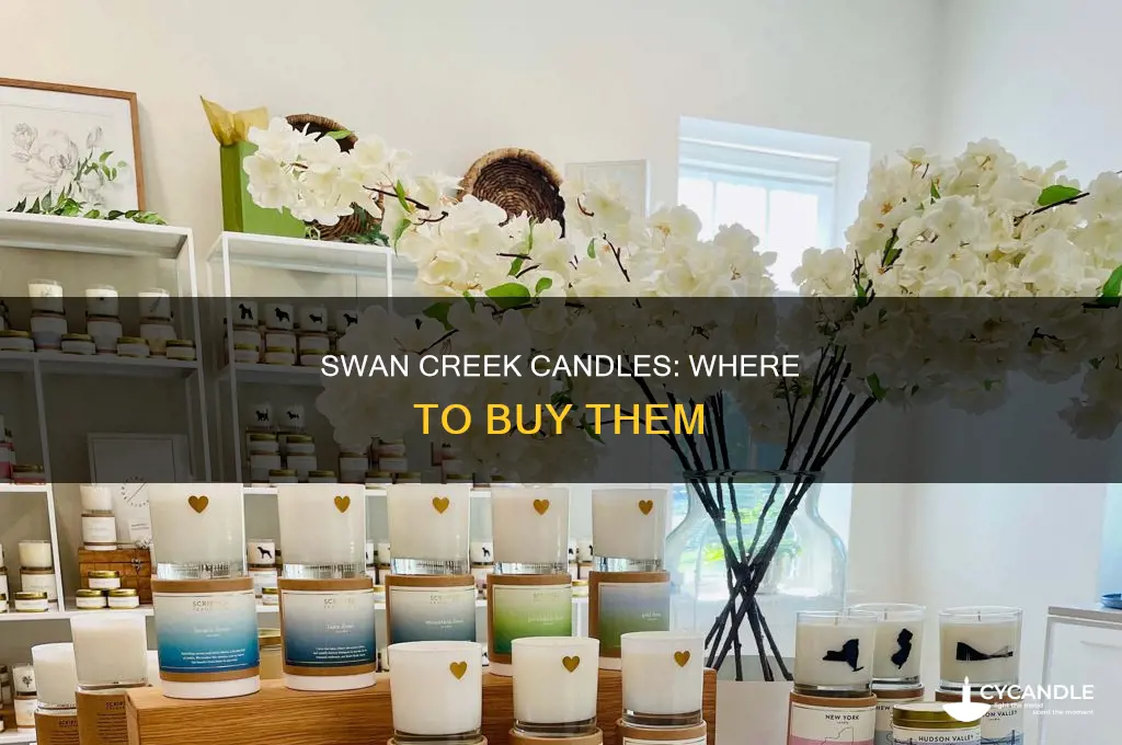 what stores sell swan creek candles