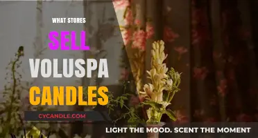 Voluspa Candles: Where to Buy and Best Stores to Shop