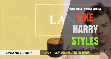 Harry Styles-Inspired Candles: Target's Top Scents