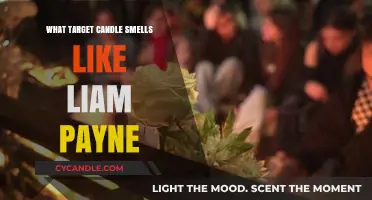 Target Candle Scents: Liam Payne's Favorite Fragrance