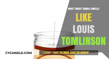 Tomlinson-Inspired Scents: Target Candles for Your Home