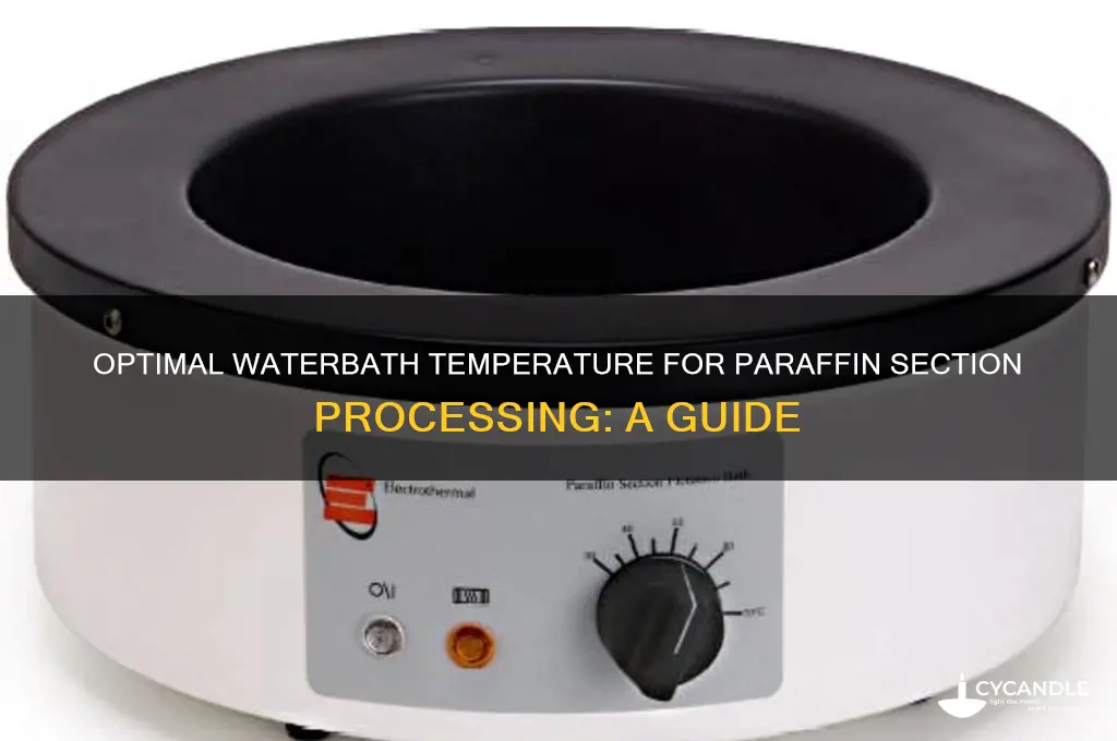 what temp shpuld be the waterbath for putting paraffin sections