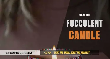 The Fucculent Candle: A Whiff of Relaxation