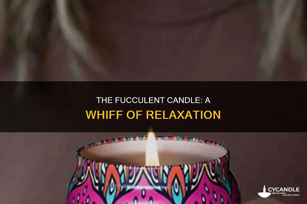 what the fucculent candle