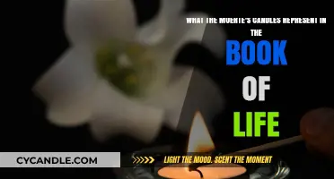 The Symbolic Meaning of Candles in The Book of Life