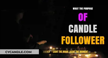 Understanding the Power of Candle Followers