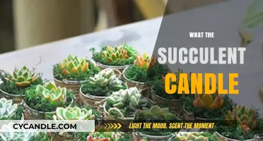 The Succulent Candle: A Whiff of Nature's Beauty