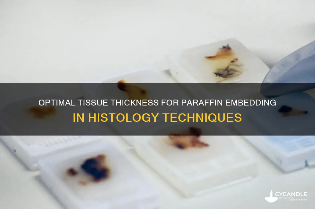 what thickness of tissue for paraffin