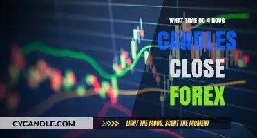 Candle Close Times in Forex: A 4-Hour Guide