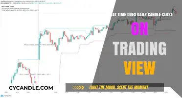 The Daily Candle Close: Trading View Timing