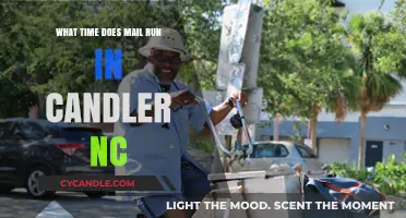 Mail Delivery Times in Candler, NC: When to Expect It