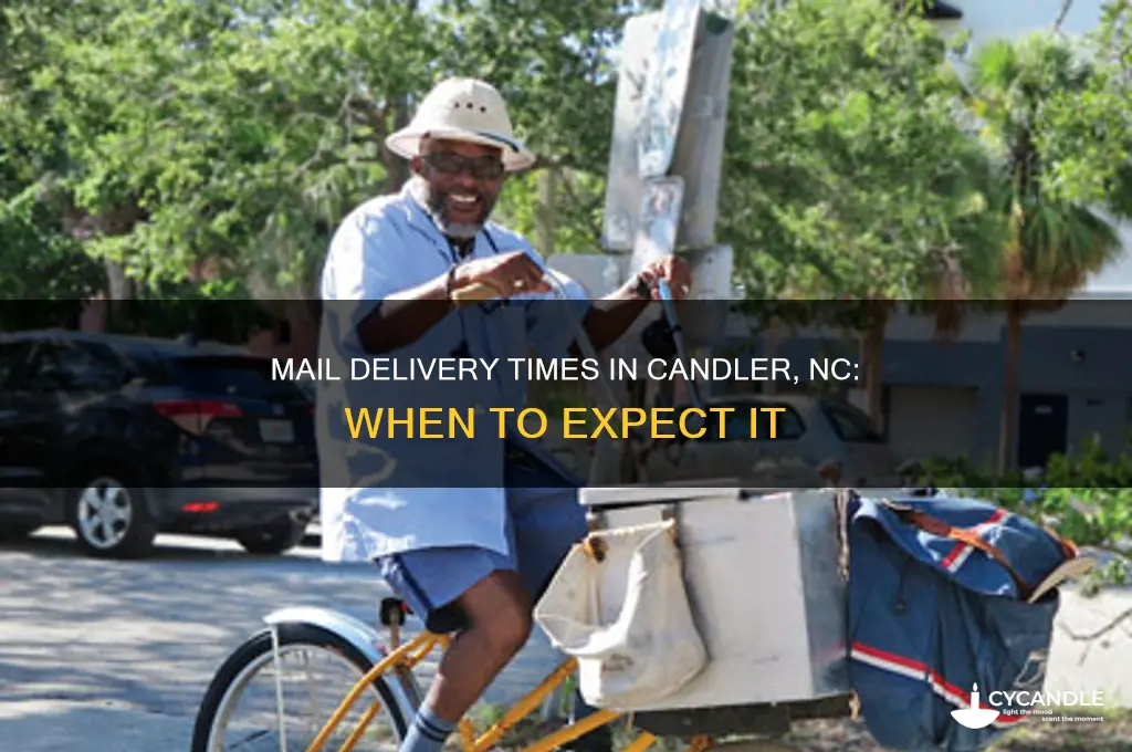 what time does mail run in candler nc