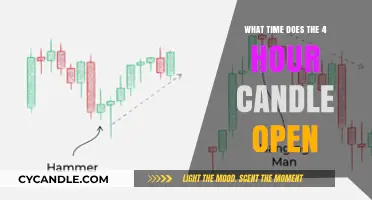 Morning Market Open: 4-Hour Candle Trading