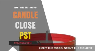 The 4-Hour Candle Closes: PST Time Zone Insights
