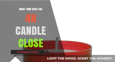 The 4-Hour Candle Closes at..