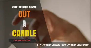 Extinguishing Candles: Post-Blowout Procedures and Maintenance