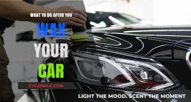 Post-Wax Car Care: Steps to Maintain Your Vehicle's Shine
