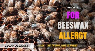Beeswax Allergy Relief: Safe Alternatives and Effective Management Tips
