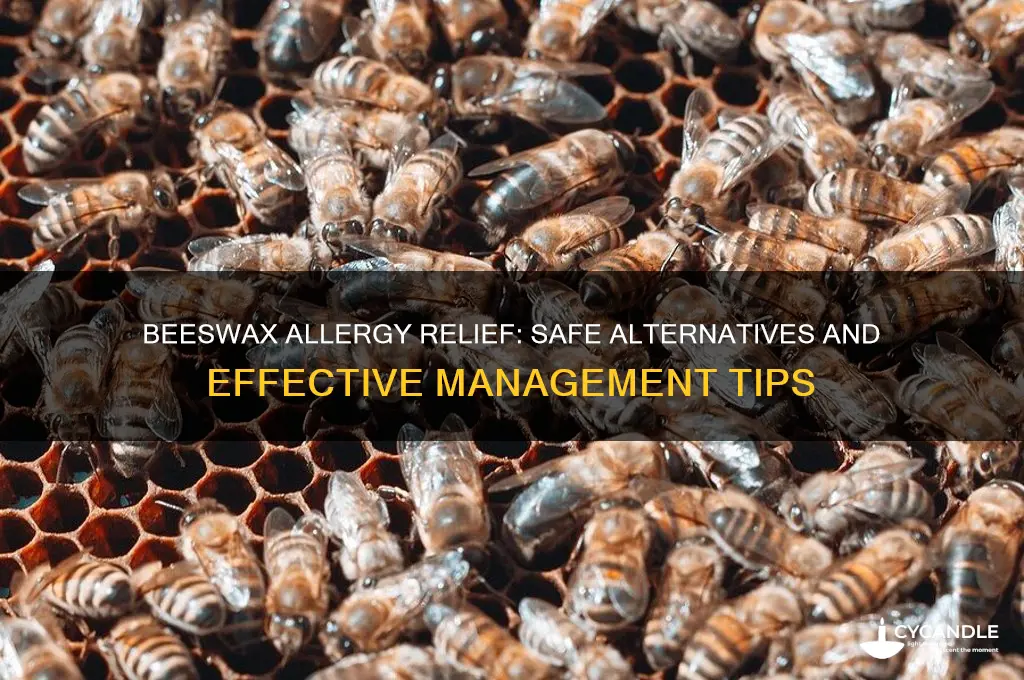 what to do for beeswax allergy