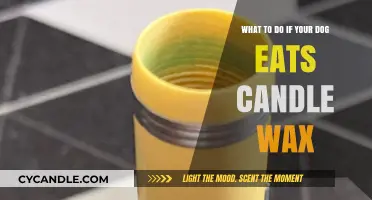 Dog Ate Candle Wax? Quick Steps to Ensure Safety and Care