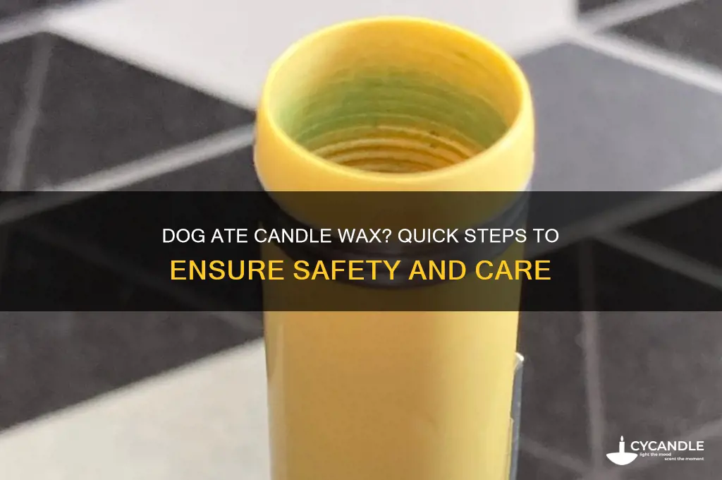 what to do if your dog eats candle wax