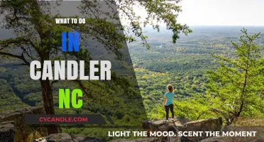 Exploring Candler, NC: Activities and Adventures