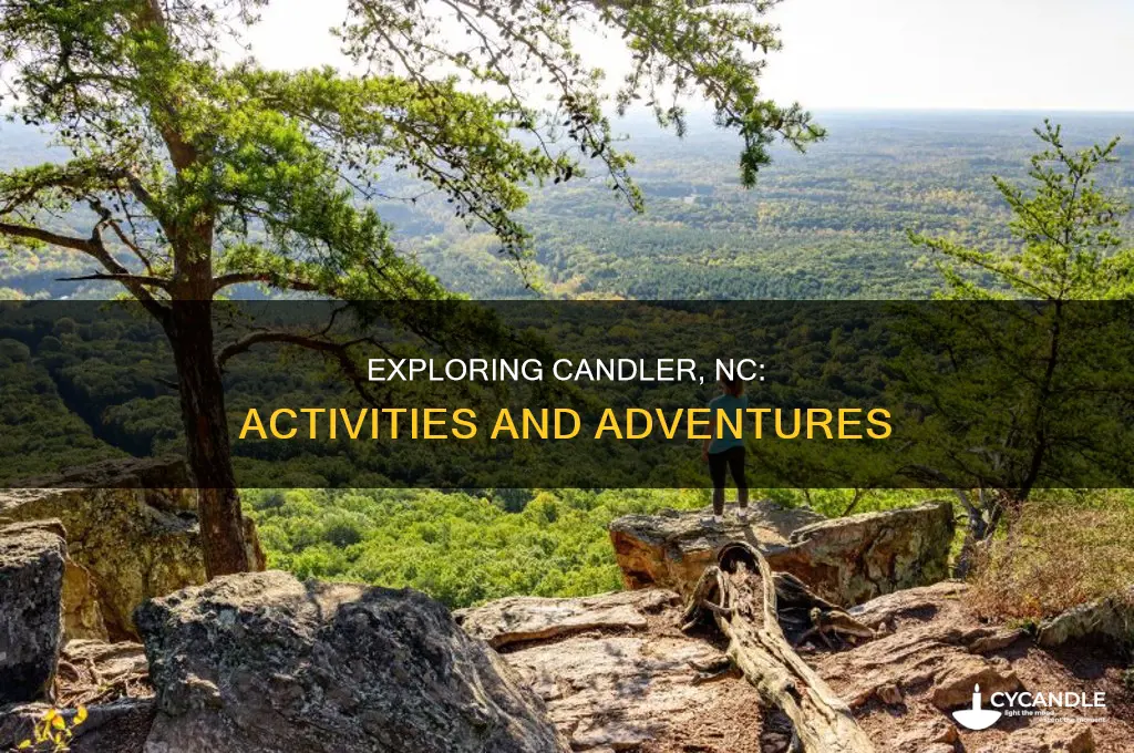 what to do in candler nc