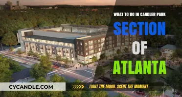 Exploring Atlanta's Candler Park: A Local's Guide