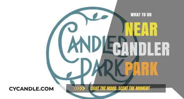 Exploring Atlanta: Fun Activities Near Candler Park