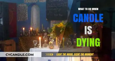 Extinguish and Revive: Candle Care Tips for the Best Burn