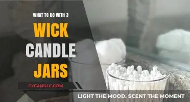 Creative Ways to Repurpose Empty 3-Wick Candle Jars