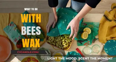 Creative Uses for Beeswax: Crafting, Beauty, and Beyond
