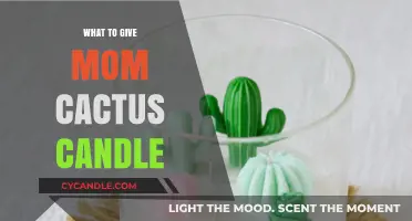 Creative Gifts: Cactus Candles for Mom