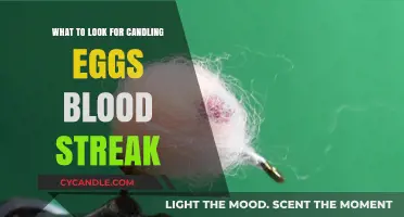 Candling Eggs: What Do Blood Streaks Mean?
