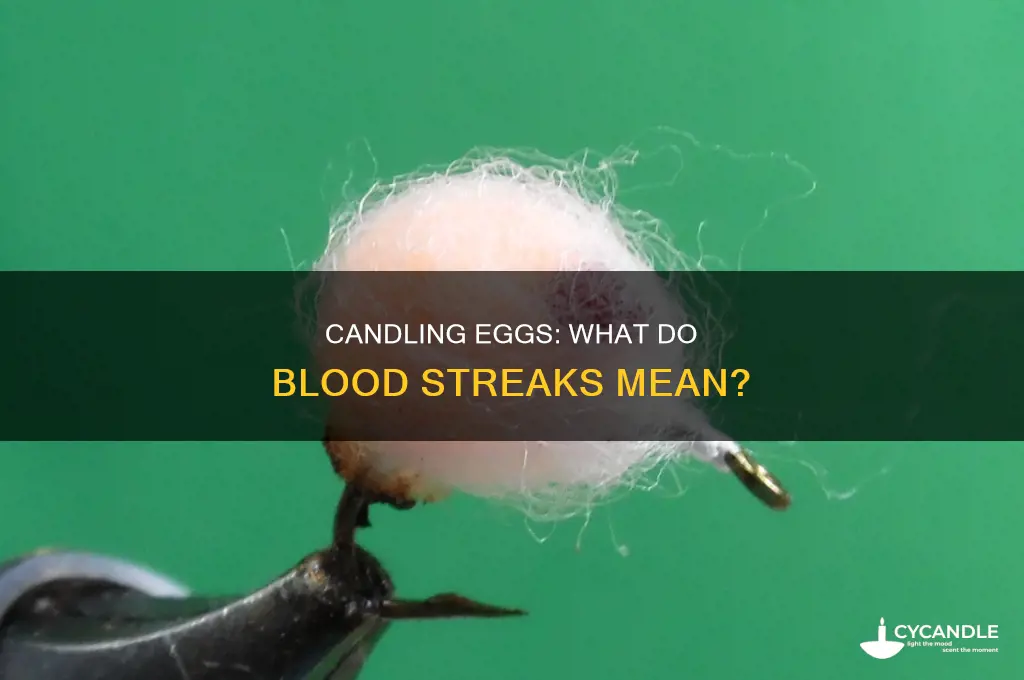 what to look for candling eggs blood streak