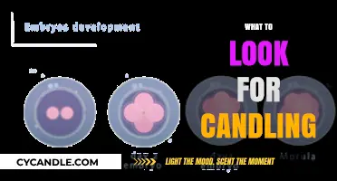 Candling Eggs: What to Look For