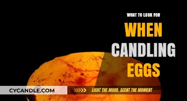 Candling Eggs: How to Spot the Good From the Bad