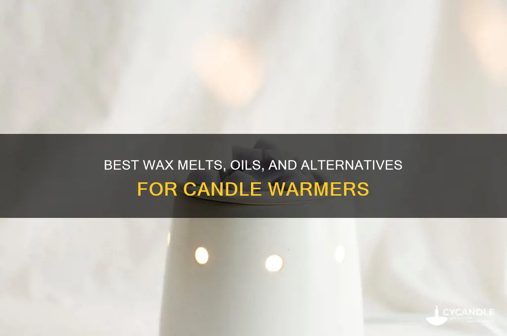 what to put in candle warmers