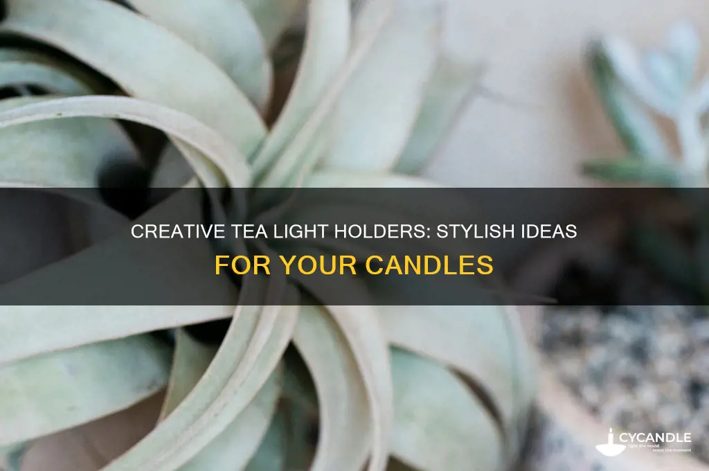 what to put tea light candles in