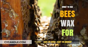 Unlocking the Versatility of Beeswax: A Guide to Its Many Uses