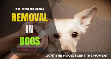 Safe and Effective Ear Wax Removal Solutions for Your Dog